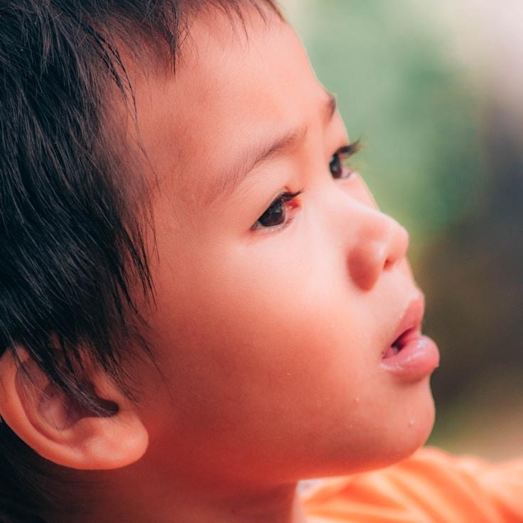 School environment for families in Amsterdam, Netherlands